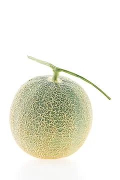Cantaloupe melon Stock Photos