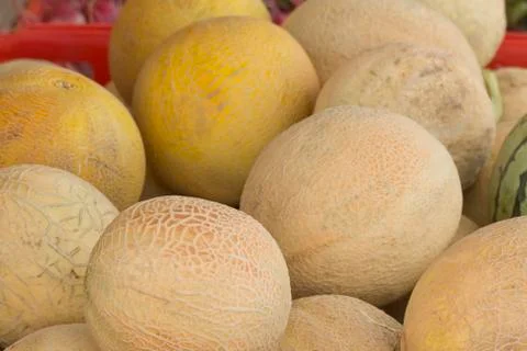 Cantaloupe Melons Stock Photos