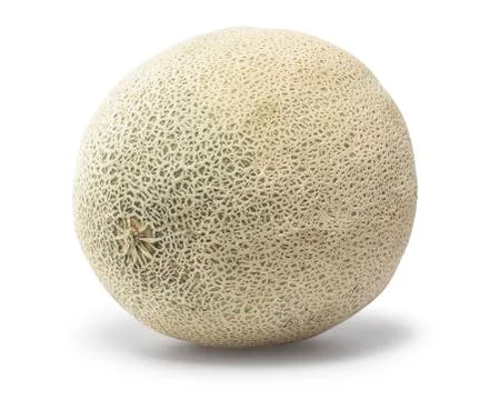 Cantaloupe Stock Photos