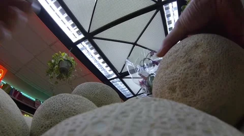 Cantaloupe squeezed Stock Footage 47419336