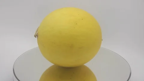 Cantalupe melon Stock Footage 126105998