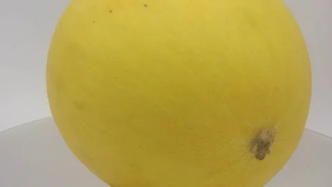 Cantalupe melon Stock Footage 126106234