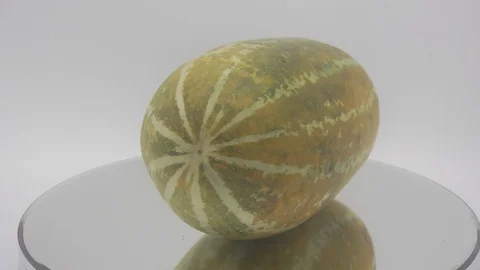 Cantalupe melon Stock Footage 126106644