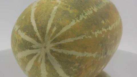 Cantalupe melon Stock Footage 126106702