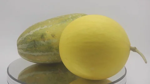 Cantalupe melon Stock Footage 126106733