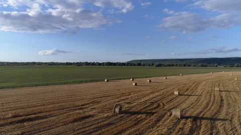 Canted field Stock Footage 97578775