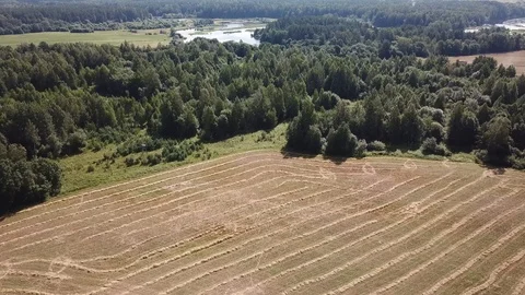 Canted field Stock Footage 101470352