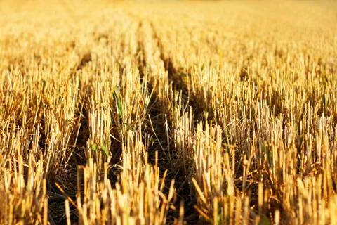 Canted field Stock Photos
