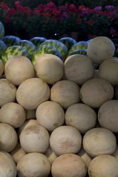 Canteloupe Stock Photos