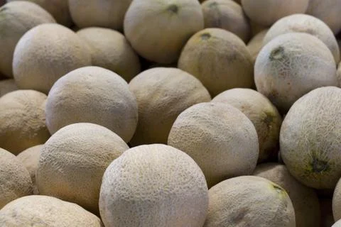 Canteloupe Stock Photos