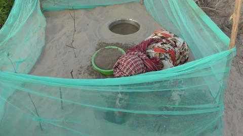 Cantor's Giant Softshell Turtle, Cambodia Stock Footage 70787133