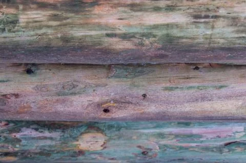 Canvas background natural log pine background with lilac shade natural patter Stock Photos