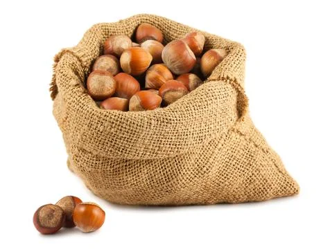 Canvas bag with hazelnuts Stock Photos