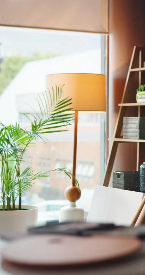 Canvas, creative and interior of art studio with furniture, painting supplies or Stock Footage 327960896