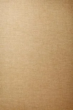 Canvas Stock Photos