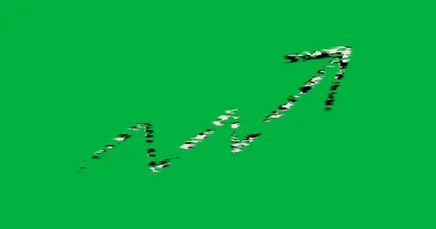 Canvas staying black pink rectangle fading arrow flickering before rectangle Video stock 317284236