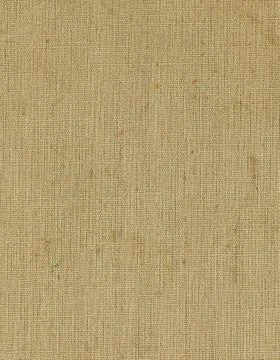 Canvas texture イラスト素材