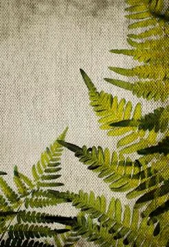 Canvas texture. Stock Photos