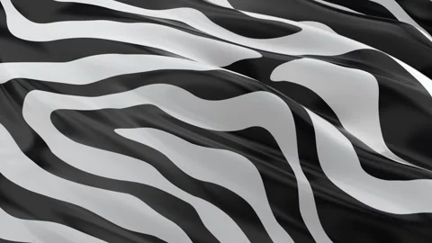 Canvas Zebra Stock Footage 169796933