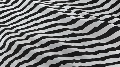 Canvas Zebra Smooth Stock Footage 169796855