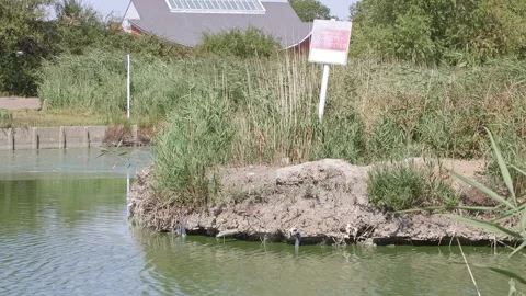 Canvey Island lake Stock Footage 341826554