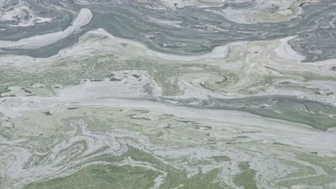 Canvey Island lake Stock Footage 341826623