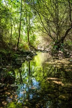 Canyon and river forming the so called Stretta di Longi, Galati Mamertino Stock Photos