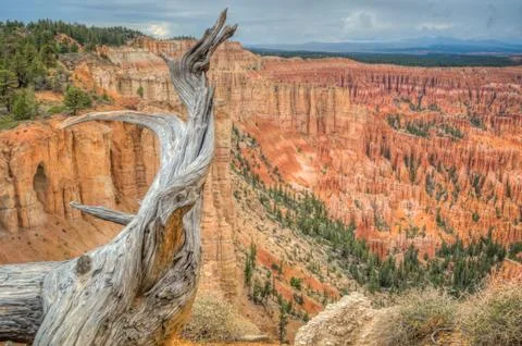 Canyon bryce at rain Stock Photos