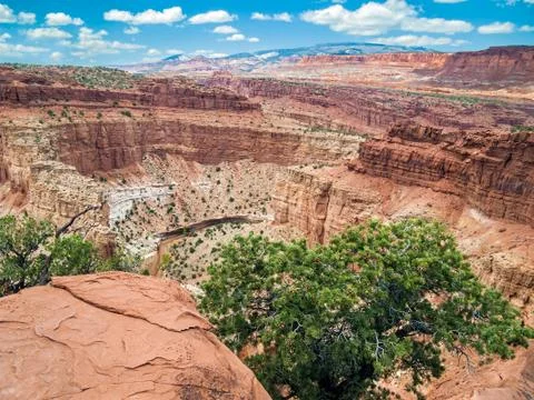 Canyon at capitol reef Stock Photos