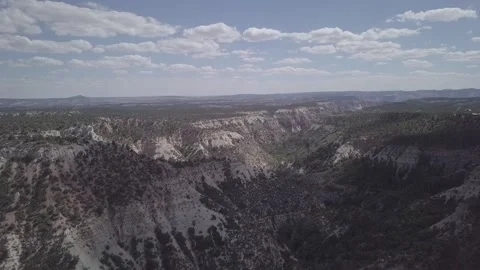 Canyon cinelike forest Stock Footage 231602136