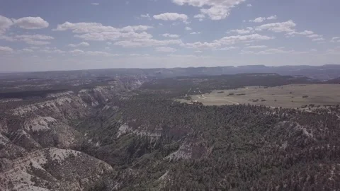 Canyon cinelike forest Stock Footage 231602176