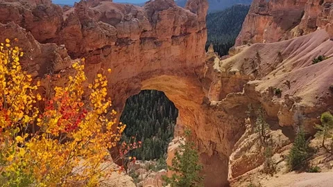 Canyon Clip 1 Stock Footage 280985232