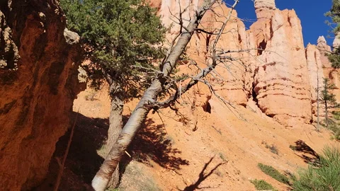Canyon Clip 3 Stock Footage 281018240