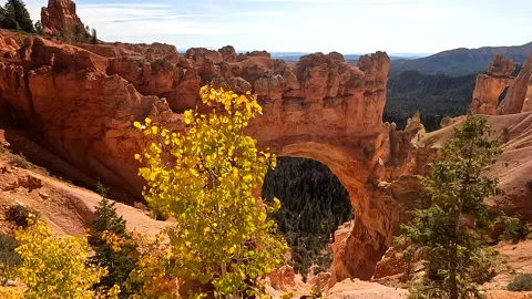 Canyon Clip 6 Stock Footage 281021077