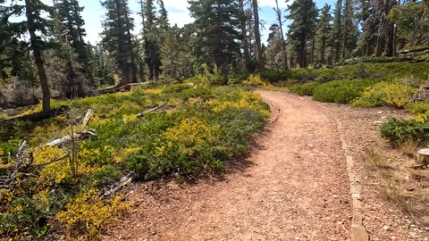 Canyon Clip 7 Видео 281028606
