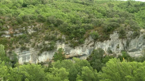Canyon covered by dense forest background Stock Footage 50542882
