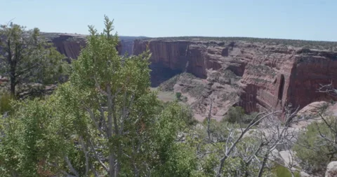Canyon De Chelly with Juniper Tree Stock Footage 166371681