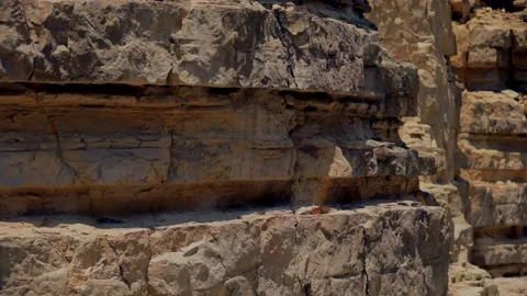 Canyon desert landscape. High cliffs of sandstone rocks. Stock Footage 197515684