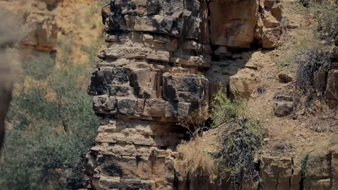 Canyon desert landscape. High cliffs of sandstone rocks. Stock Footage 197515708