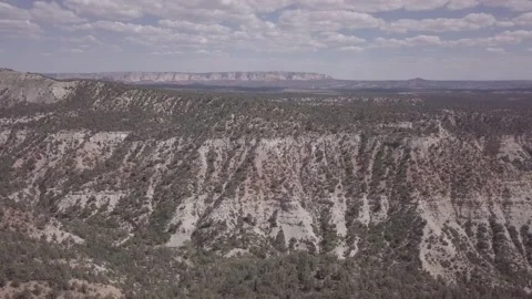 Canyon drone forest cinelike Stock Footage 231597410