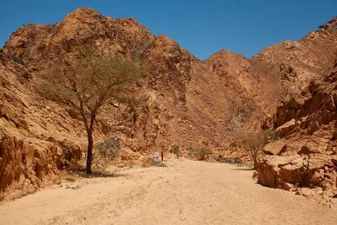  canyon in egypt Stock Photos