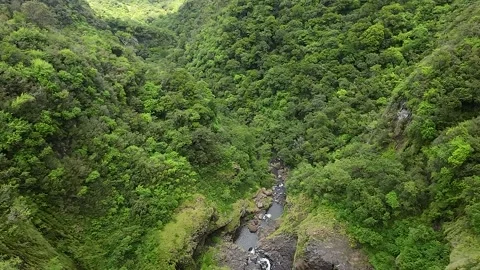 Canyon Stock Footage 293201459