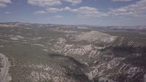 Canyon forest cinelike Stock Footage 231600936