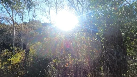 Canyon Hike Video stock 151524763