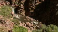 A Canyon In The Jemez Mountains HD Footage