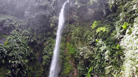 Canyon Natural Forest Waterfall Stock Footage 92729554