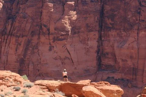 Canyon overlook Stock Photos
