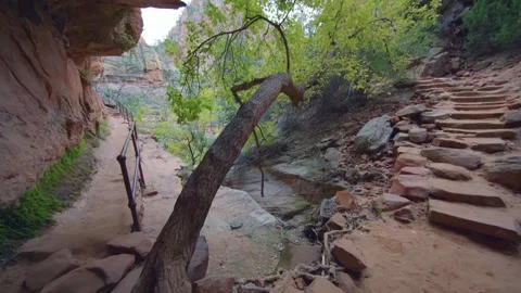 Canyon Overlook Trail Hiking Path in Zion National Park, Utah Stock Footage 331999570