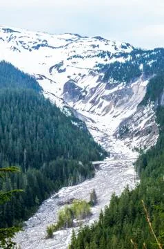 Canyon. Stock Photos