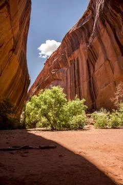 Canyon Stock Photos